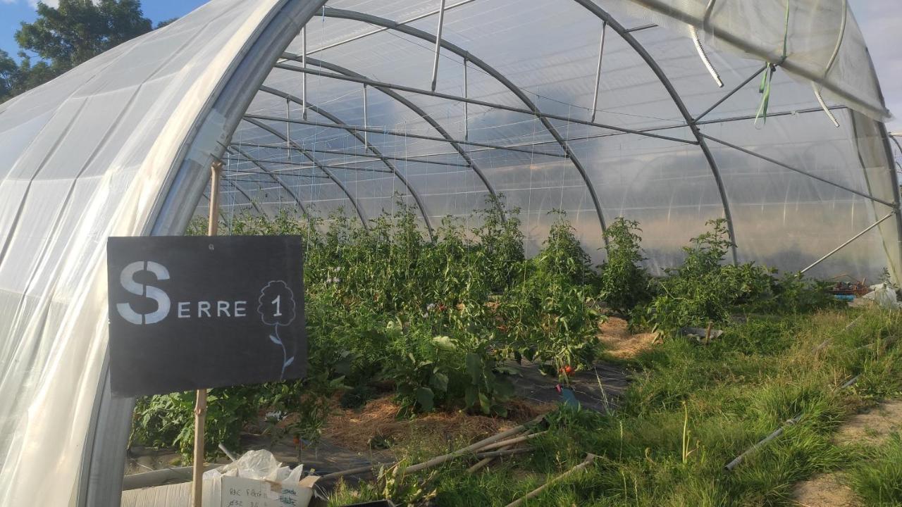Saint-Andre-de-l'Epine Eco-Gite A La Ferme D'Elles מראה חיצוני תמונה